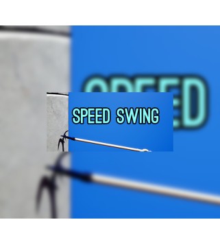 Speed Swing Steam Key GLOBAL